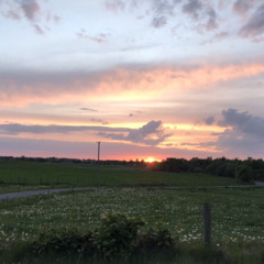 Effortlessly (raw dog)