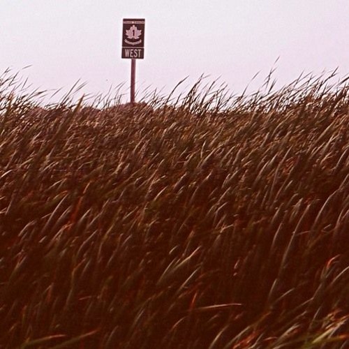 Tetsu Inoue - Health Loop (World Reiceiver)