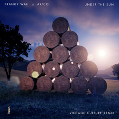 Under The Sun (Vintage Culture Remix)