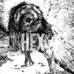 wings ripping through my back