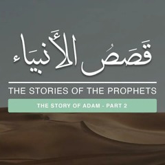 The Stories of The Prophets #14: The Story of Adam (Pt. 2) - The Stages of Adam's Creation