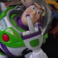 WOODY&BUZZ