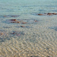 Shallow - Lady Gaga Bradley Cooper / Мелководье - Леди Гага Брэдли Купер (мой кавер) .mp3