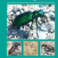 free KINDLE 📩 Tiger Beetles of Minnesota, Wisconsin & Michigan (Naturalist Series) b