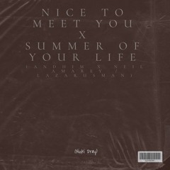 Nice To Meet You X The Summer Of Your Life (Nickï Dray - Edit)(PITCH & FILTERED VERSION)