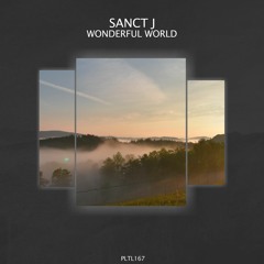 Sanct J - Wonderful World