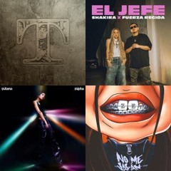 Novedades