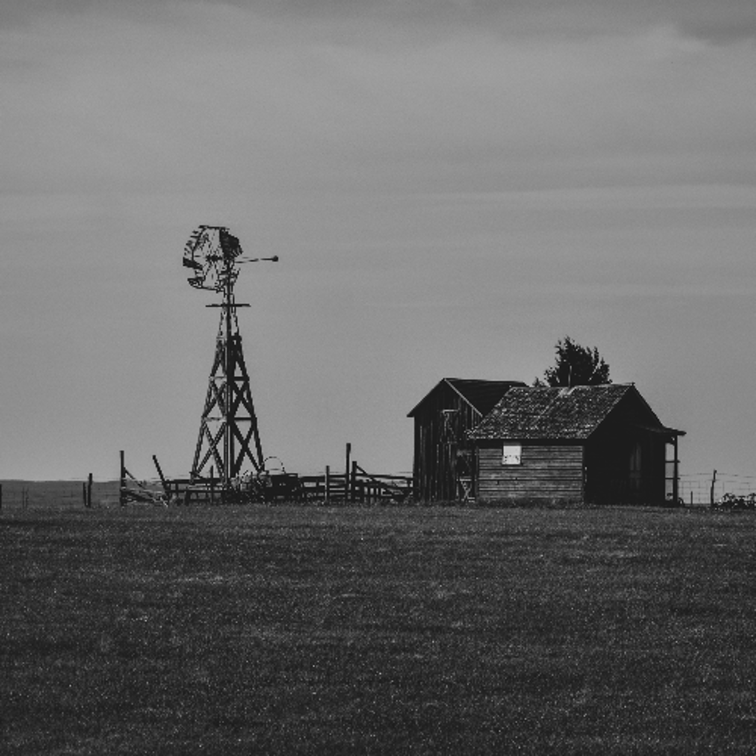 buzz_260107_Michaela-Hoffelmeyer