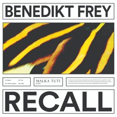 Benedikt Frey - Wonky System