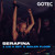 Artwork for Serafina | Boiler floor - Gotec Club | 1 1/2 H | Bouncy Techno Set