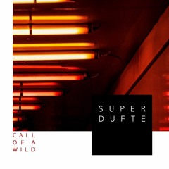Monk Bar Super Durfte 03|08|19@Karlsruhe Set - Jonas Call of a Wild