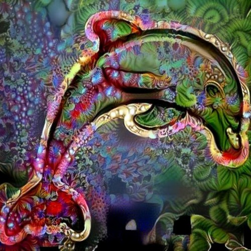 Dolphin [Faster EDM]