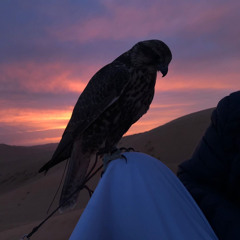 ‎محمد بن فطيس x محمد عبده