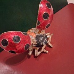 Why Doesn't Us 1764173081585.mp3