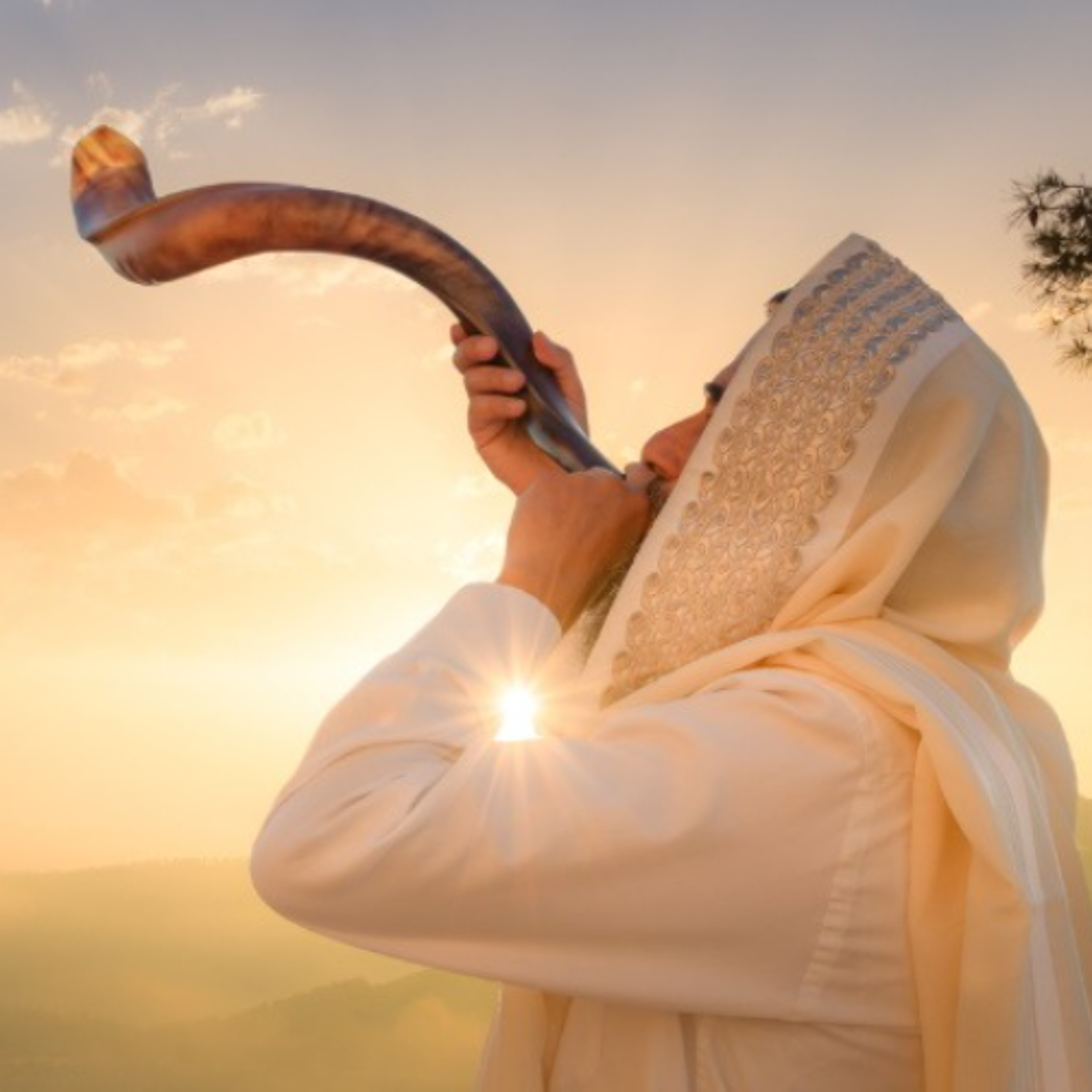 על מושג הדין והעמידה לעומתו בראש השנה. ובעניינו של הזיכרון והזדקקותו להוויית בני האדם והעולם. מאמר מקיף לר״ה episode artwork