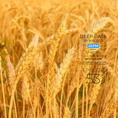 Deep Data 53 "Di.Fm"