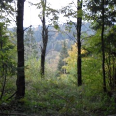 Thoughts And Regrets  (prod.by sickboi)