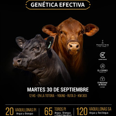 Horacio Stirling - Remate Genética Efectiva