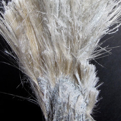 asbestosv2
