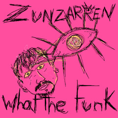 Zunzarren- What The Funk (Oiginal Mix)
