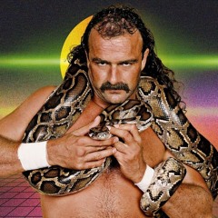 Jake  "The Snake"  Roberts WWF/WWE Mix
