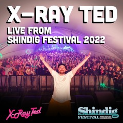 Live at Shindig Festival 2022 (DJ Mix)