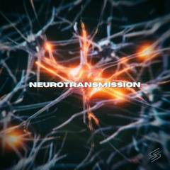 STRNGER - Neurotransmission