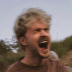 this must be my exit / laced up