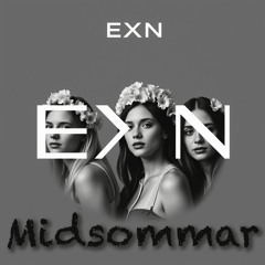 Små Grodorna (Electronic Dance Pop)