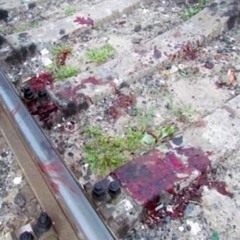 7272628282927328 (METAL VOMIT)