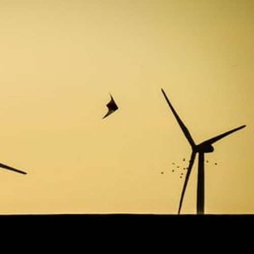 How the Media Skews Our Perception of Risk - a Case Study into Bird Deaths via Wind Turbines