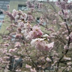 Ambient