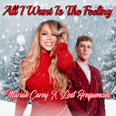 All I Want Is The Feeling (Mariah Carey x Lost Frequencies Mashup)