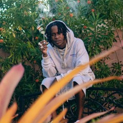 Prince Swanny - Brand New