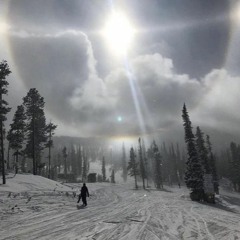 dying.in.а.virtual.world