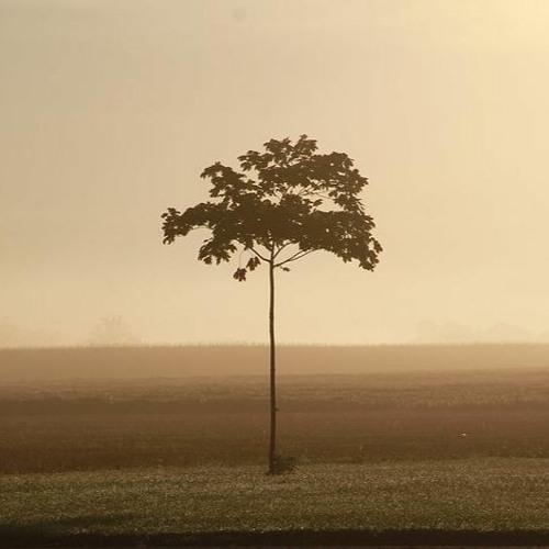 Stream Shila Hamzah - Memori Tercipta live by Zamri Ismail | Listen