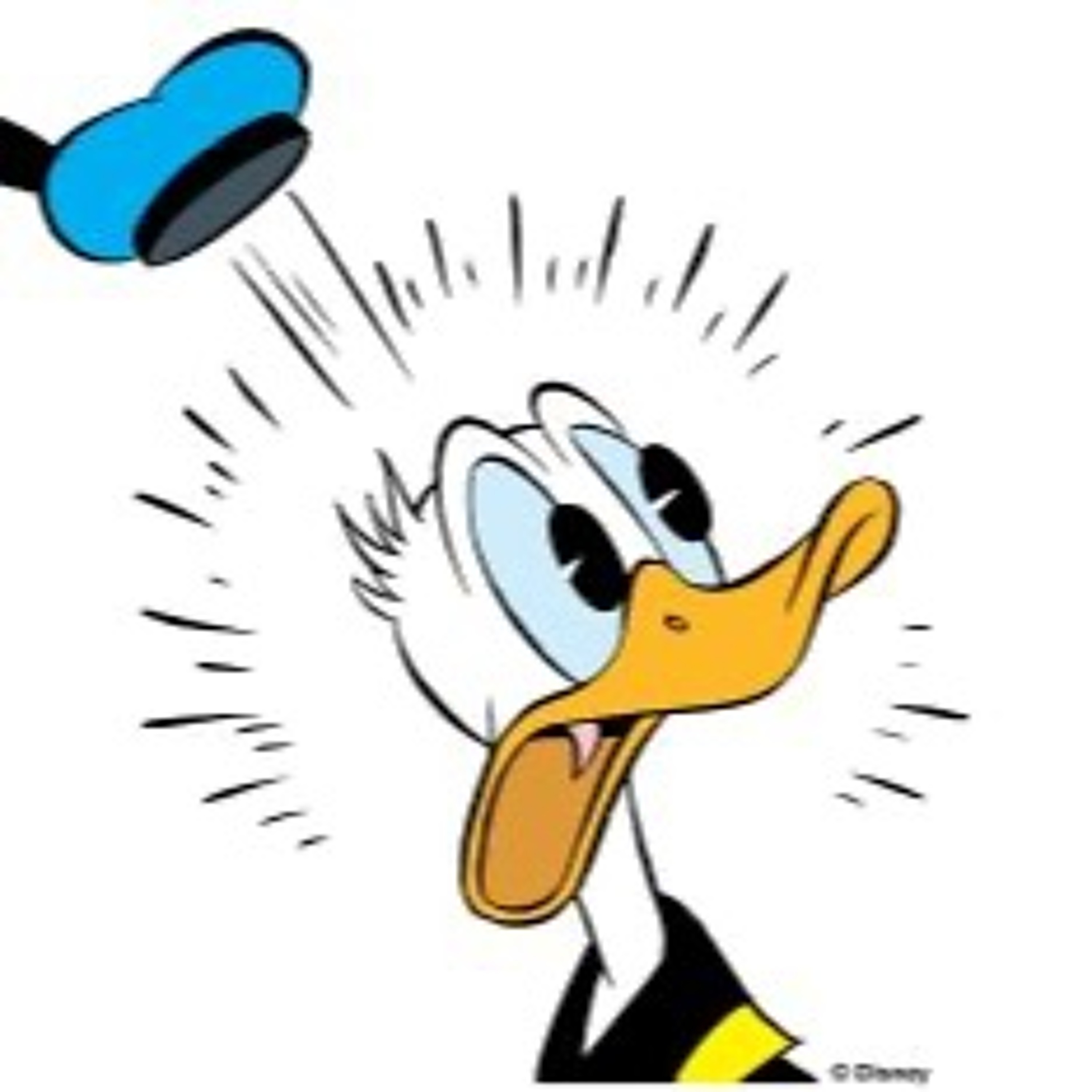 You Schrucked Tha Duck! episode artwork