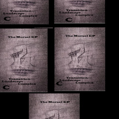 Crane MP - C-Landscape