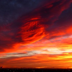 Browse 98 Trap x Chill