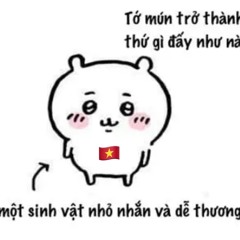 🔀Miền tây huong M