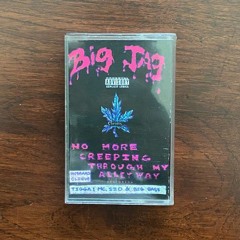 Big Jag - No More Creeping Through My Alleyway (1994)