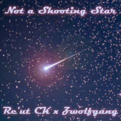 Re'ut CK x Zwolfgang - Not a Shooting Star