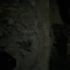 Sand Dune - Intro - 2023 - 02 - 08, 8.11 PM