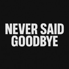 U-Nik - Never Said Goodbye (Bootleg Remix)