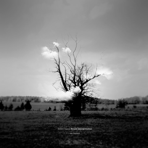 Thanatos (Dubfire Remix)
