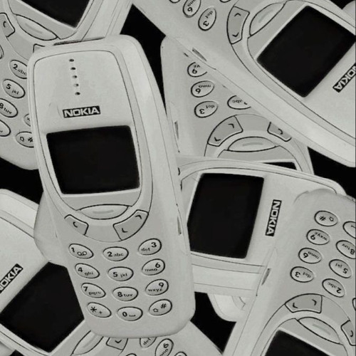 NOKIA flip