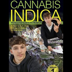 Raklo mix 2 - RE&PIS