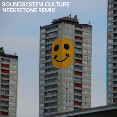 Soundsystem Culture