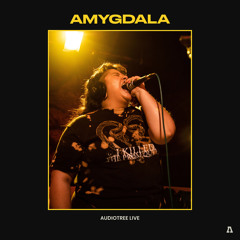 A Kind of Death in Life (Audiotree Live Version)