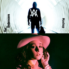 Faded x Pink Pony Club - Alan Walker x Chappell Roan (Tim Underscore Mashup)